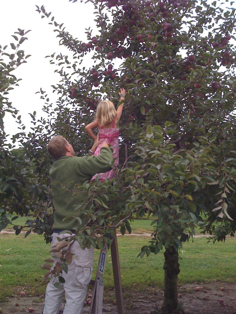 Apple picking was a favorite of ours.
