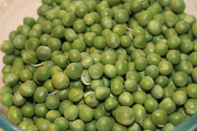 peas1